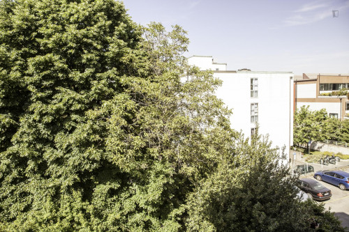 Inviting apartment 2-bedrooms near Basilica di Santa Maria dei Servi - Gallery - 13