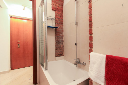 Very attractive apartment near Università Bocconi/NABA - Gallery - 9