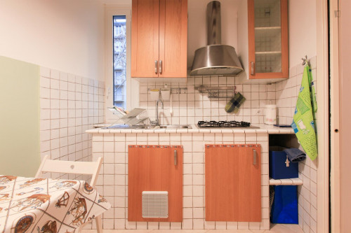 Very attractive apartment near Università Bocconi/NABA - Gallery - 12