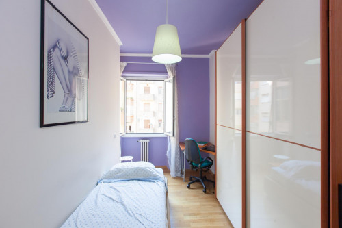 Fabulous single bedroom in central, well connected area