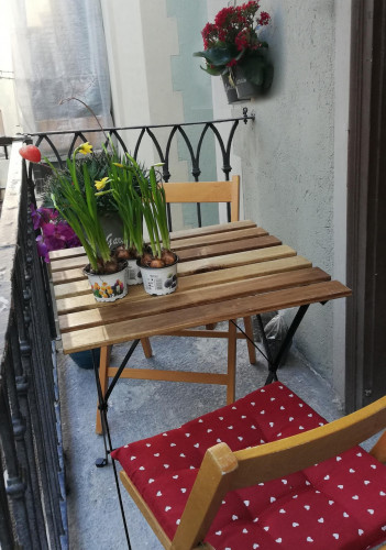 1-bedroom apartment, with outdoor area