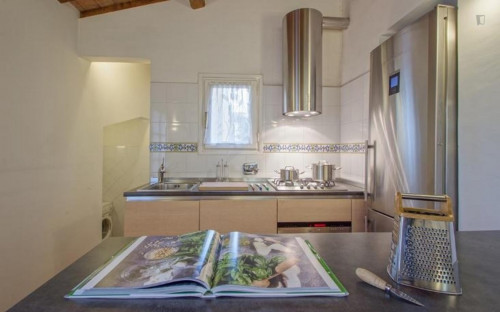 Lovely 2-bedroom apartment in Duomo - Gallery - 13