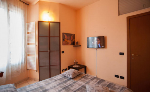 Spacious 1-bedroom apartment close to Policlinico Sant'Orsola-Malpighi  - Gallery -  2