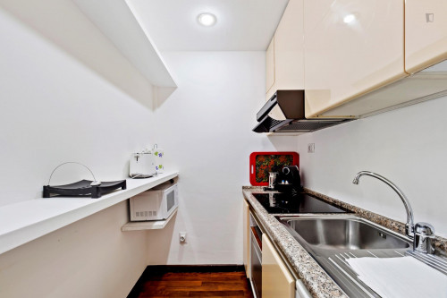 Comfy bright 1-bedroom apartment close to Lanza metro station - Gallery - 15