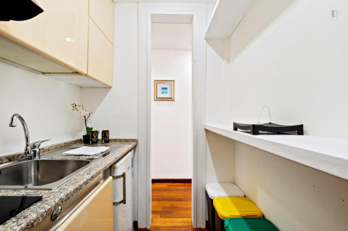Comfy bright 1-bedroom apartment close to Lanza metro station - Gallery - 16