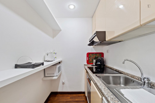 Comfy bright 1-bedroom apartment close to Lanza metro station - Gallery - 40