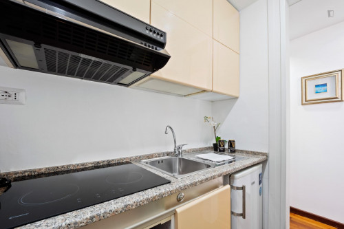 Comfy bright 1-bedroom apartment close to Lanza metro station - Gallery - 26