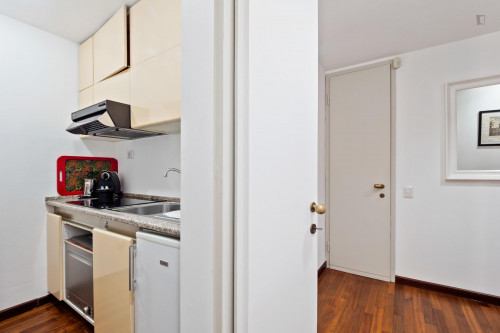 Comfy bright 1-bedroom apartment close to Lanza metro station - Gallery - 38