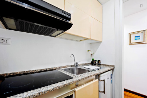 Comfy bright 1-bedroom apartment close to Lanza metro station - Gallery - 17