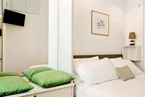 Comfy bright 1-bedroom apartment close to Lanza metro station - Gallery - 5