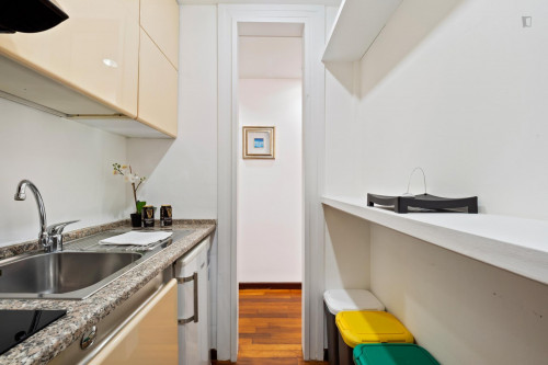 Comfy bright 1-bedroom apartment close to Lanza metro station - Gallery - 41