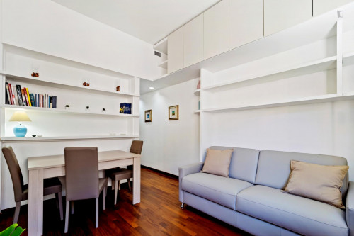 Comfy bright 1-bedroom apartment close to Lanza metro station - Gallery - 13