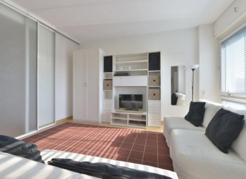 Amazing 2-bedroom flat near the Zara metro