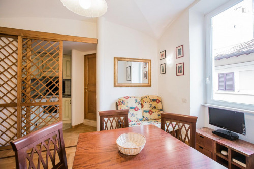Enjoyable 1-bedroom apartment near Castel Sant'Angelo  - Gallery -  3