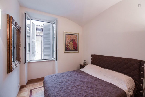 Enjoyable 1-bedroom apartment near Castel Sant'Angelo  - Gallery -  1