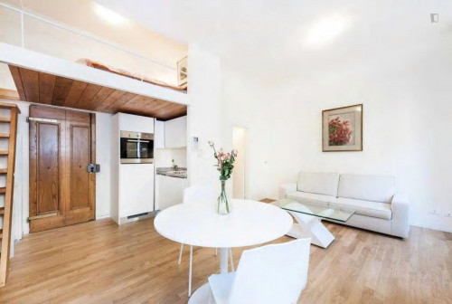  Modern Studio Near Piazza Della Stazione  -  Modern studio near Piazza della Stazione  - Gallery -  1