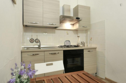 Cozy apartment in the heart of Florence - Gallery - 6