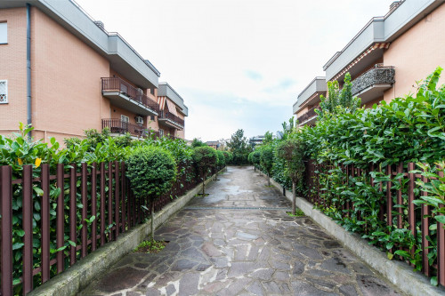 Attractive single bedroom close to the Universita' Degli Di Roma Tor Vergata - Gallery - 13