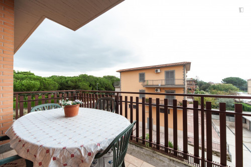 Attractive single bedroom close to the Universita' Degli Di Roma Tor Vergata - Gallery - 7
