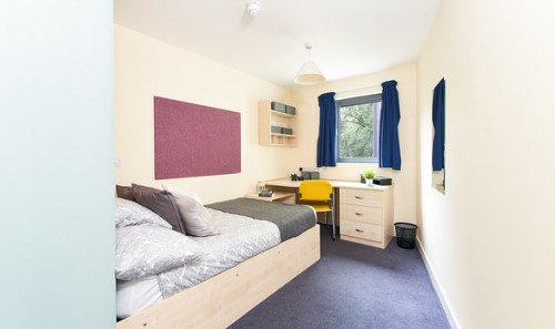  En-Suite  -  Gibson Street Roost  - Gallery -  2