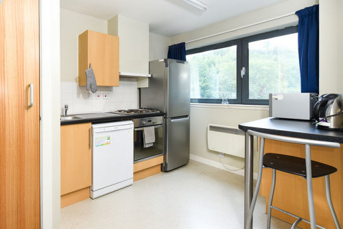  Studio  -  Gibson Street Roost  - Gallery -  5