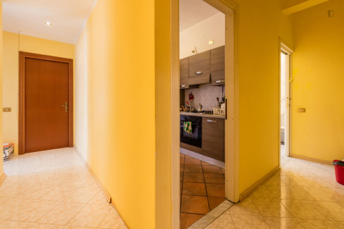 Homely double bedroom with balcony in Municipio VIII - Gallery - 12