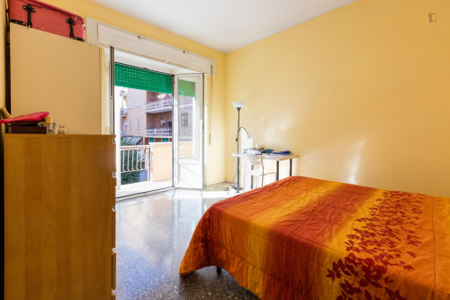 Homely double bedroom with balcony in Municipio VIII  - Gallery -  1
