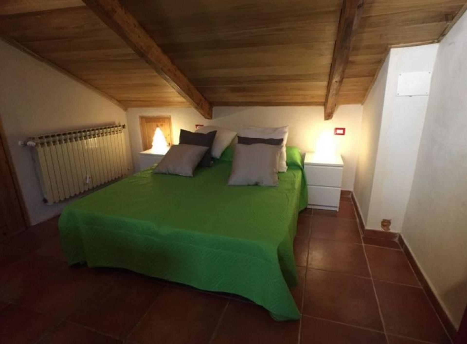 Bright studio near Metro Marche, Turin Student