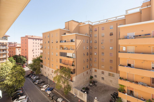 Bright single bedroom near LUISS Guido Carli - Gallery - 10