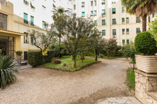 Bright single bedroom near LUISS Guido Carli - Gallery - 8