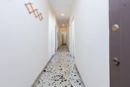 Bright single bedroom near LUISS Guido Carli - Gallery - 5