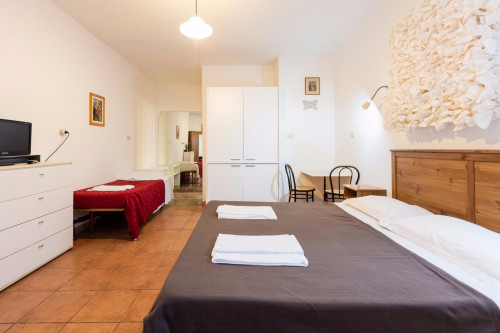 Charming studio in Prati  - Gallery -  2