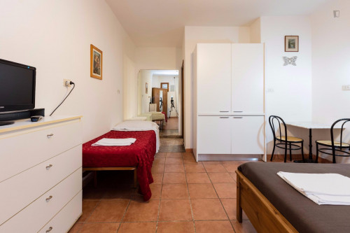 Charming studio in Prati  - Gallery -  3