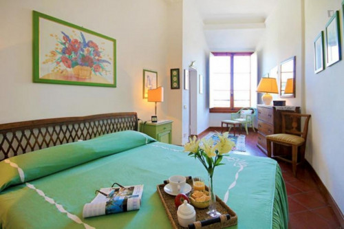 Charismatic 1-Bedroom Flat In San Frediano - 2