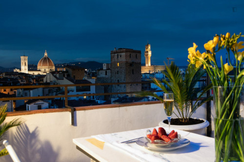 Pitti Luxury Terrace - Gallery - 17