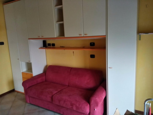  Small And Nice Studio Near The Faculty Of Agriculture  -  Small and Nice Studio near the Faculty of Agriculture  - Gallery -  2