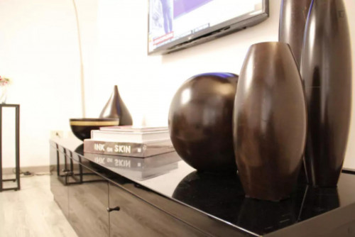 Amazing 3-bedroom apartment near Piazza San Marco