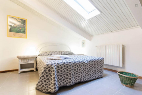 Pleasant apartment near Università degli Studi di Torino