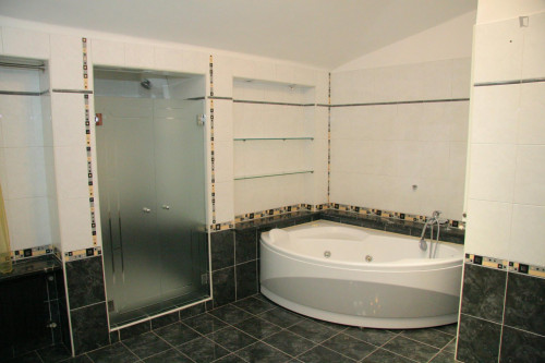 Single bedroom plenty of light in Turin - Gallery - 8