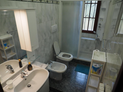 Single bedroom plenty of light in Turin - Gallery - 6