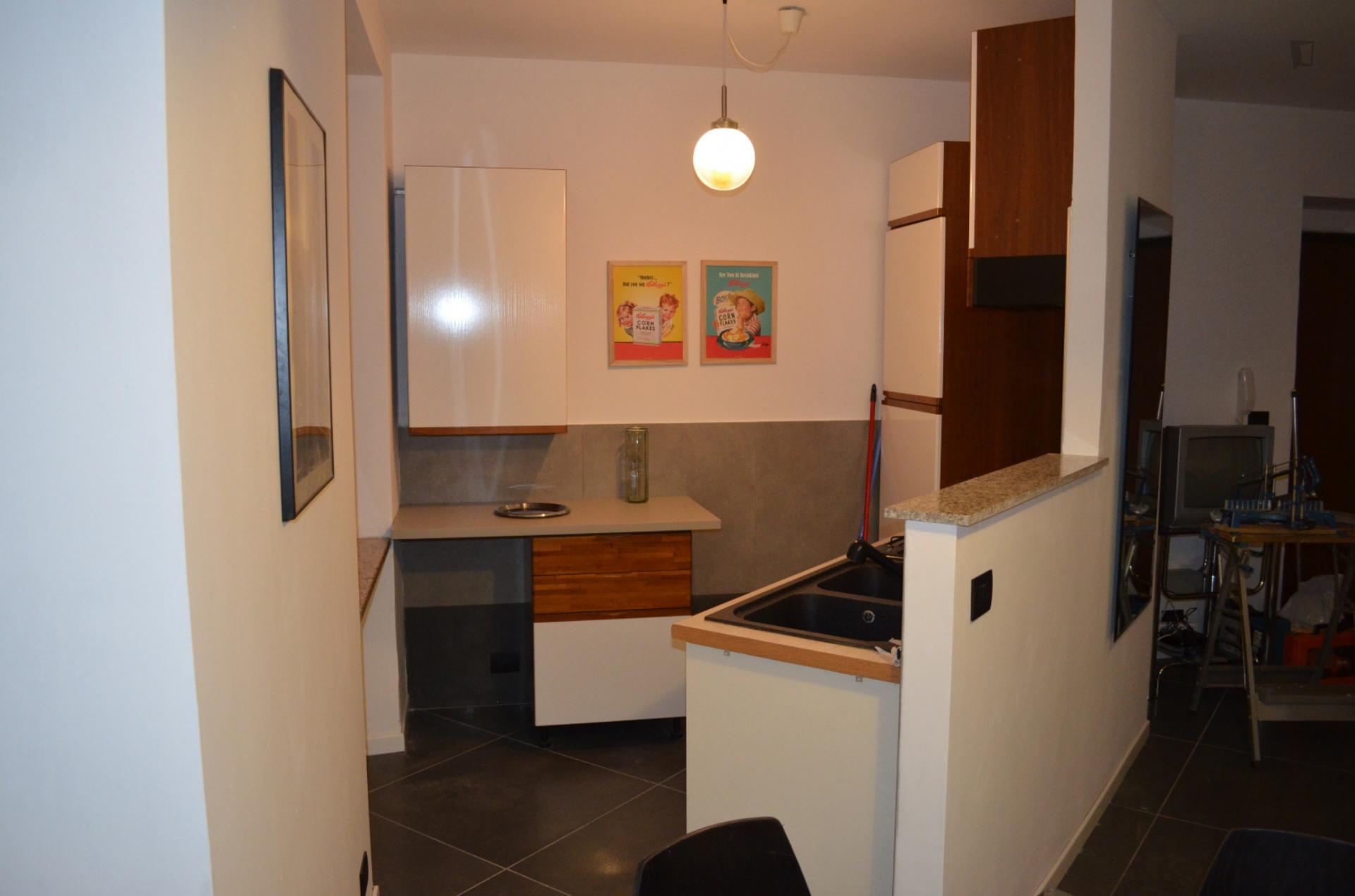 Spacious 2-bedroom apartment close to Porta Palatina