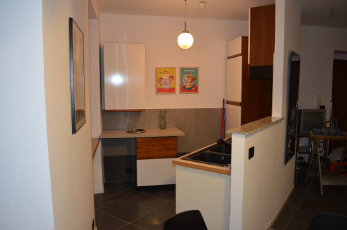 Spacious 2-bedroom apartment close to Porta Palatina
