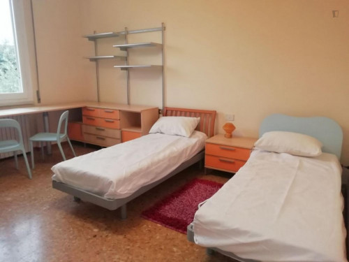  Bed In A Flat Close To Polimoda  -  Bed in a flat close to Polimoda  - Gallery -  2
