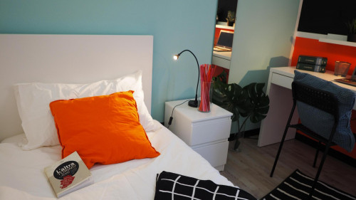 Well-lit single bedroom in the Centro neighbourhood