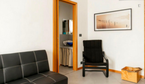 Cool and comfortable apartment near Università degli Studi di Torino