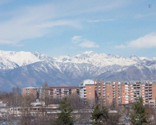2-Bedroom apartment near Politecnico di Torino - Gallery - 12
