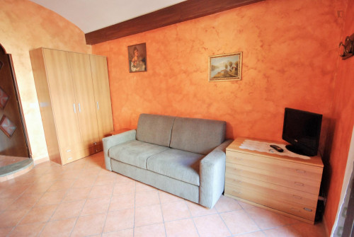 Cosy studio close to Marconi metro station