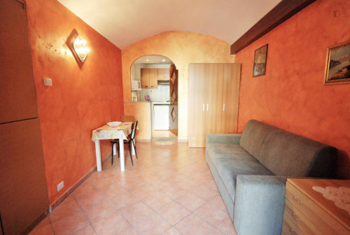 Cosy studio close to Marconi metro station