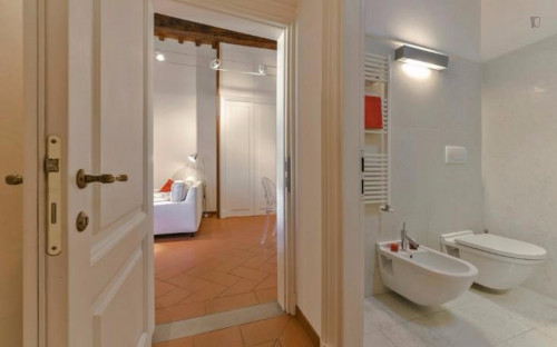 Restful 1-bedroom apartment near Basilica di Santa Trinita - Gallery - 7