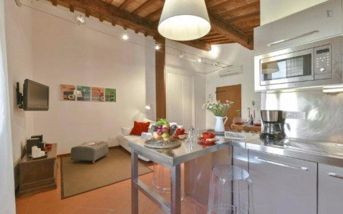 Restful 1-bedroom apartment near Basilica di Santa Trinita - Gallery - 10
